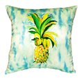 thumbnail image 1 of Betsy Drake NC400 18 x 18 in. Pineapple No Cord Pillow, 1 of 2