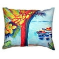 thumbnail image 1 of Betsy Drake NC440 18 x 18 in. Cocoa Nuts & Boats No Cord Pillow, 1 of 3