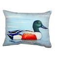thumbnail image 1 of Betsy Drake NC465 16 x 20 in. Northern Shoveler No Cord Pillow, 1 of 2
