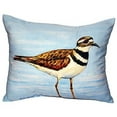 thumbnail image 1 of Betsy Drake NC546 16 x 20 in. Killdeer No Cord Indoor & Outdoor Pillow, 1 of 2