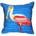 thumbnail image 1 of Betsy Drake NC549 18 x 18 in. Dicks Spoonbill No Cord Indoor & Outdoor Pillow, 1 of 2