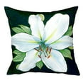 thumbnail image 1 of Betsy Drake Casablanca Lily No Cord Pillow 18x18, 1 of 2