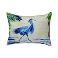 thumbnail image 1 of Betsy Drake NC810 16 x 20 in. Blue Egret No Cord Pillow, 1 of 2
