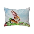 thumbnail image 1 of Betsy Drake NC815 16 x 20 in. Jack Rabbit Right No Cord Pillow, 1 of 2