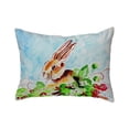 thumbnail image 1 of Betsy Drake NC816 16 x 20 in. Jack Rabbit Left No Cord Pillow, 1 of 1