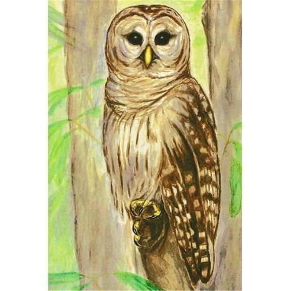 Betsy Drake Owl Outdoor Wall Hanging 24x30