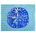 thumbnail image 1 of Betsy Drake Interiors Blue Sand Dollar Place Mat Set of 4, 1 of 2