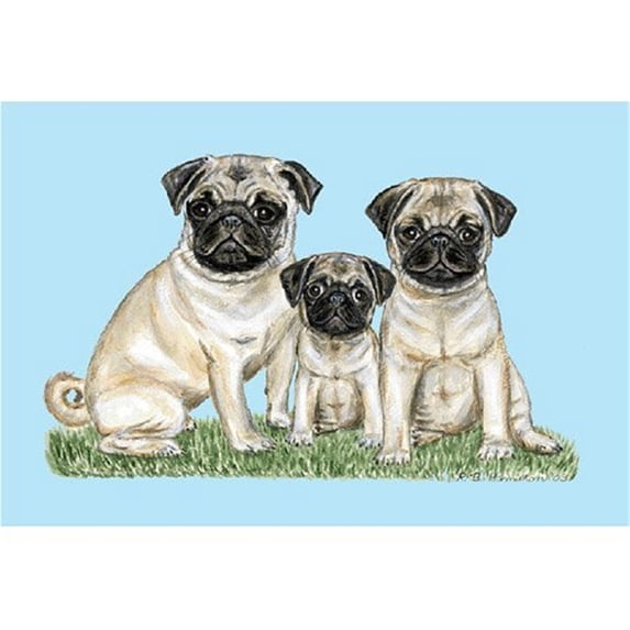 Betsy Drake Interiors Pugs Door Mat 18x26