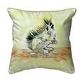 thumbnail image 1 of Betsy Drake SN059 12 x 12 in. Baby Squirrel Small Pillow, 1 of 2