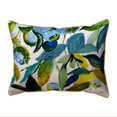 thumbnail image 1 of Betsy Drake SN1158 11 x 14 in. Blueberries Pillow, Small, 1 of 2