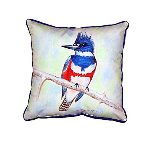 Betsy Drake SN363 12 x 12 in. Kingfisher Small Indoor & Outdoor Pillow