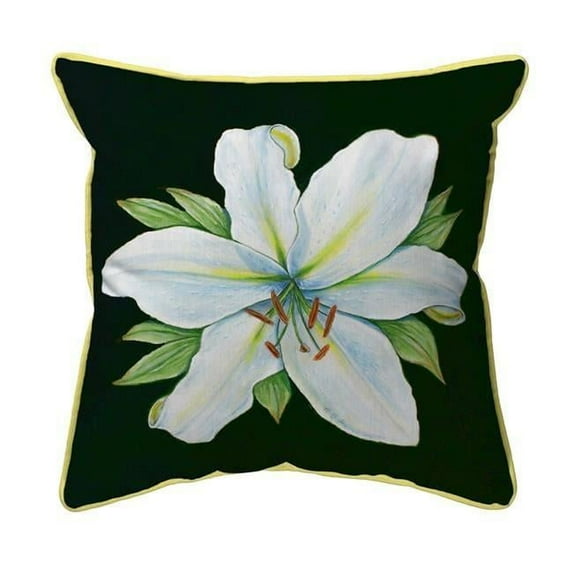 Betsy Drake SN704BL 12 x 12 in. Casablanca Lily - Black Background Indoor & Outdoor Pillow, Small