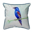 thumbnail image 1 of Betsy Drake SN825 11 x 14 in. Blue Grosebeak Small Pillow, 1 of 3