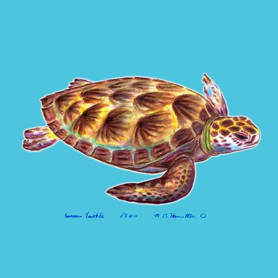 Betsy Drake Sea Turtle Coaster Set of 4