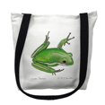 thumbnail image 1 of Green Treefrog Small Tote Bag 13x13 16 inches x 16 inches, 1 of 1