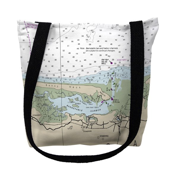 Betsy Drake TY13246SNM 16 x 16 in. Cape Cod Sandy Neck, MA Nautical Map Tote Bag - Medium