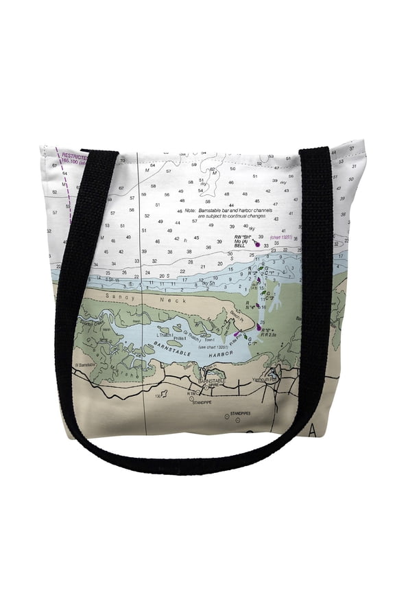 TY13246SNM 16 x 16 in. Cape Cod Sandy Neck, MA Nautical Map Tote Bag - Medium