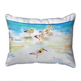 thumbnail image 1 of Betsy Drake ZP1090 20 x 24 in. Five Sanderlings Extra Large Corded Indoor & Outdoor Pillow, 1 of 1