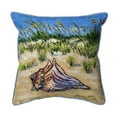 thumbnail image 1 of Betsy Drake ZP1167 22 x 22 in. Conch Found Zippered Indoor & Outdoor Pillow, Extra Large, 1 of 2