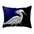 thumbnail image 1 of Betsy Drake ZP1388 20 x 24 in. Palette Snowy Egret Zippered Pillow - Extra Large, 1 of 1