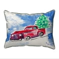 thumbnail image 1 of Betsy Drake ZP206 20 x 24 in. Truck & Tree Extra Large Zippered Pillow, 1 of 1