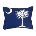 thumbnail image 1 of Betsy Drake ZP235 Palmetto Moon Throw Pillow- 20 x 24 in., 1 of 2