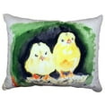 thumbnail image 1 of Betsy Drake ZP378 Dicks White Ibis Extra Large Zippered Pillow, 1 of 3