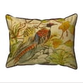 thumbnail image 1 of Betsy Drake ZP700 20 x 24 in. Pheasant Extra Large Zippered Pillow, 1 of 1