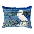 thumbnail image 1 of Betsy Drake ZP777 22 x 22 in. Mute Swan Extra Large Pillow, 1 of 1