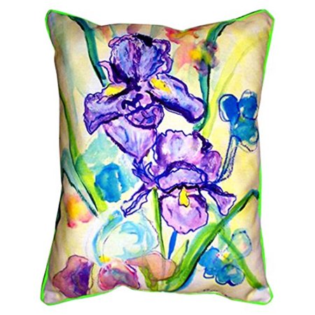 Betsy Drake ZP942 Two Irises Indoor & Outdoor Throw Pillow- 20 x 24 in.