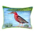thumbnail image 1 of Betsy Drake ZP958 20 x 24 in. Green Heron II Extra Large Zippered Pillow, 1 of 4
