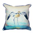 thumbnail image 1 of Betsy's Avocet Large Indoor/Outdoor Pillow 18x18, 1 of 3