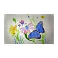 thumbnail image 1 of Betsy Drake Interiors Betsy's Blue Morpho Door Mat 30x50, 1 of 2