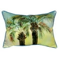thumbnail image 1 of Betsy's Palms Large Indoor/Outdoor Pillow 16x20, 1 of 3