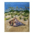 thumbnail image 1 of Betsydrake BK1167 Conch Found Throw, 1 of 1