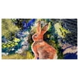 thumbnail image 1 of Betsydrake BT1174 30 x 50 in. Cottontail Rabbit Beach Towel, 1 of 1