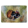 thumbnail image 1 of Betsydrake DM1165 18 x 26 in. Colorful Turkey Door Mat, 1 of 2