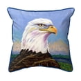 thumbnail image 1 of Betsydrake HJ1211 18 x 18 in. Eagle Portrait Indoor & Outdoor Pillow - Large, 1 of 2
