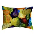 thumbnail image 1 of Betsydrake KS1159 11 x 14 in. Gourds II No Cord Pillow - Small, 1 of 2