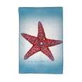 thumbnail image 1 of Betsydrake KT1169 16 x 25 in. Dicks Starfish Kitchen Towel, 1 of 2