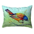 thumbnail image 1 of Betsy Drake Interiors Bunting Looking Large Noncorded Pillow, 1 of 1
