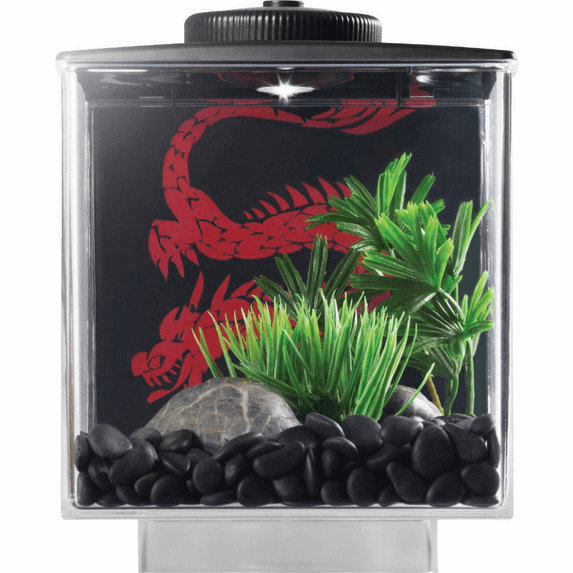 Betta Cube With Led Light