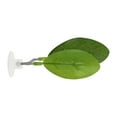 thumbnail image 1 of Betta Fish Bed Betta Leaf Bed Plastic Betta Hammock Pad with Suction Cup Betta Fish Resting Place Green, 1 of 7