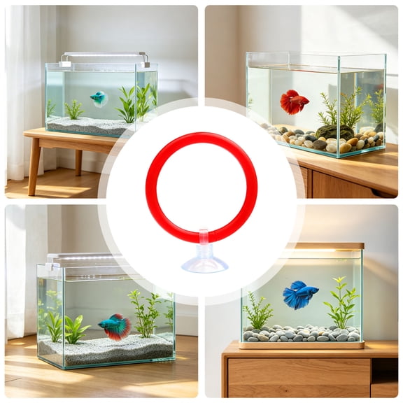 Betta Fish Exercise Ring with Suction Cup, Aquarium Fish Training Ring for Tank Enrichment