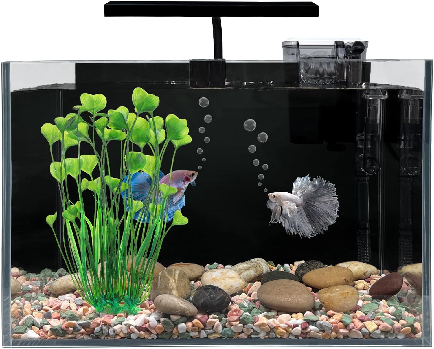 Small And Large Rocks Betta Fish Tank, 2.5 Gallon Nano Nature Aquarium Starter Kit, Ultra ...