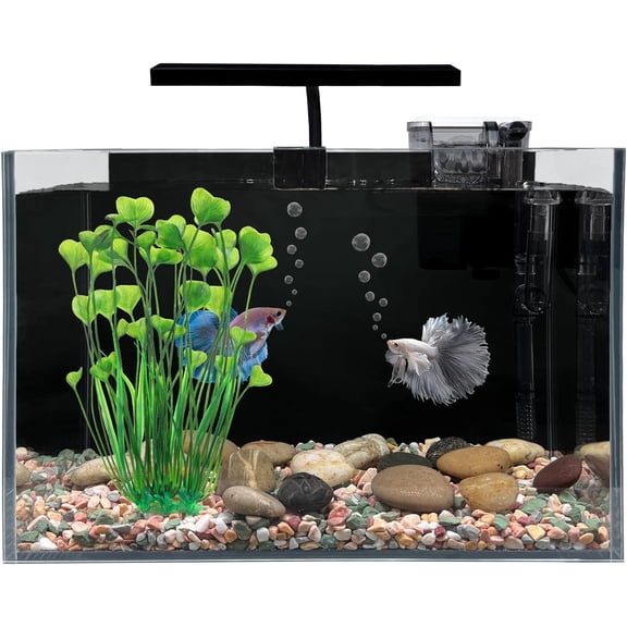 Betta Fish Tank, 2.5 Gallon Nano Nature Aquarium Starter Kit, Ultra-Clear Rimless Desktop Fish Tank with Light, Filter, Gravel and Rock, Aquarium Perfect for Small Fishes, Black