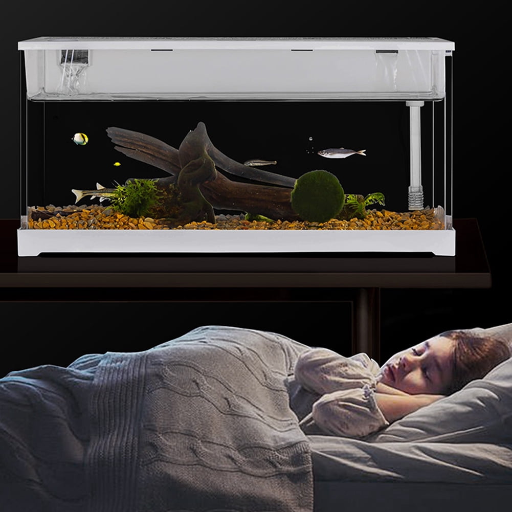 View of Betta Fish Tank, Clear Acrylic Aquarium Tank Bowl for Goldfish Small ...