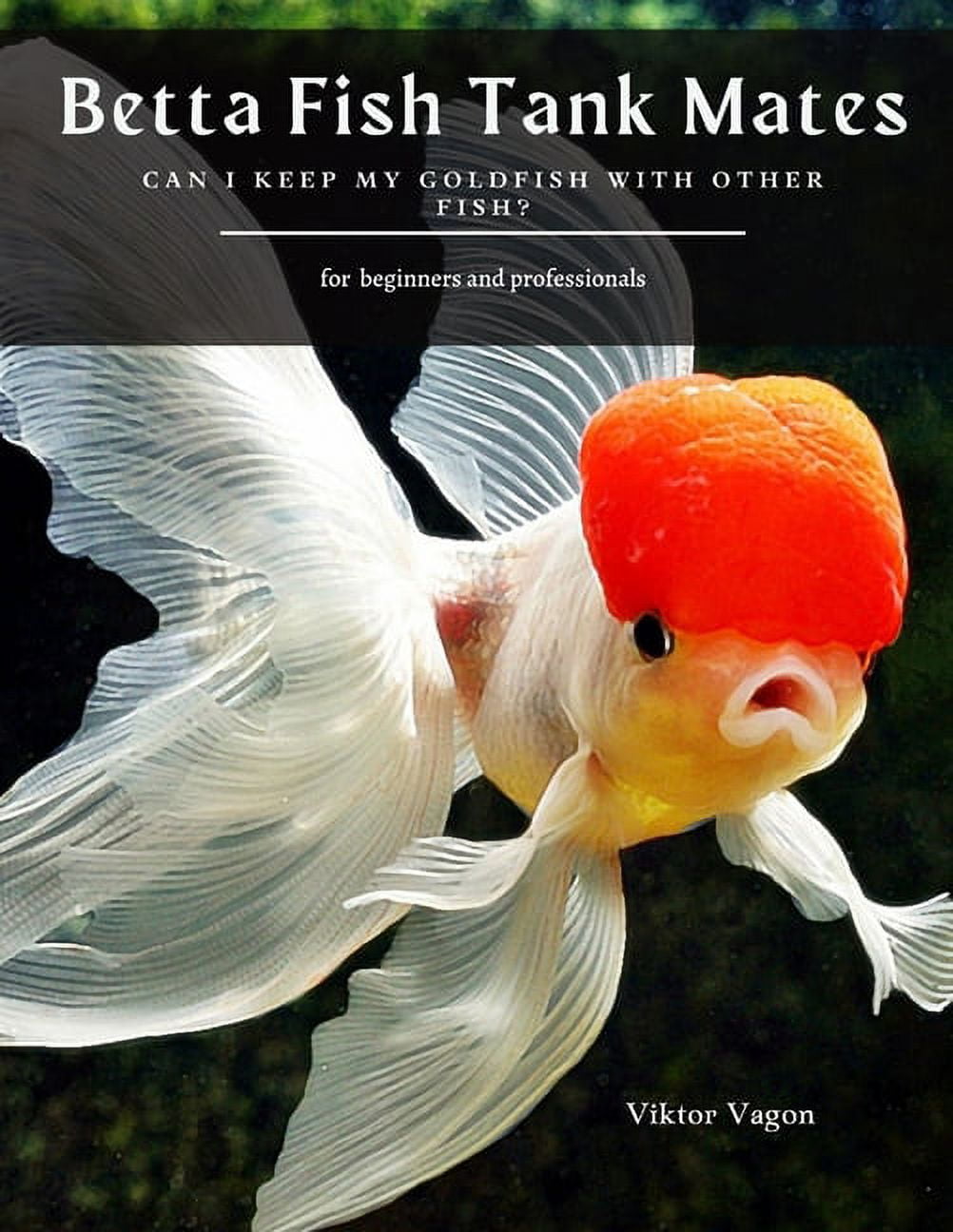 Betta fish outlet goldfish