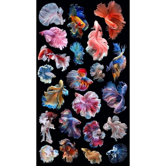 Betta Fish Wall Art, Collection of Colorful Siamese Fighting Fish Photo, Modern Aquatic Decor for Home Office or Aquarium Lobby