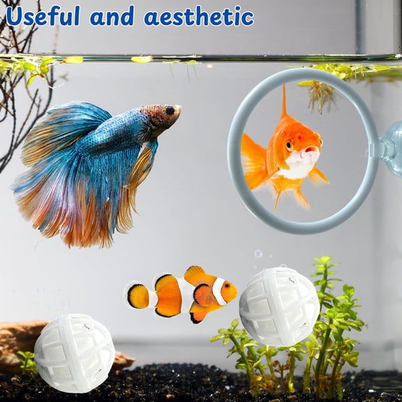 Betta Training Ring With Suction Cups And Nitrate Balls, Filter Balls Aquarium Toy, Fish Tank Decor For Betta Fish Breeding & Training